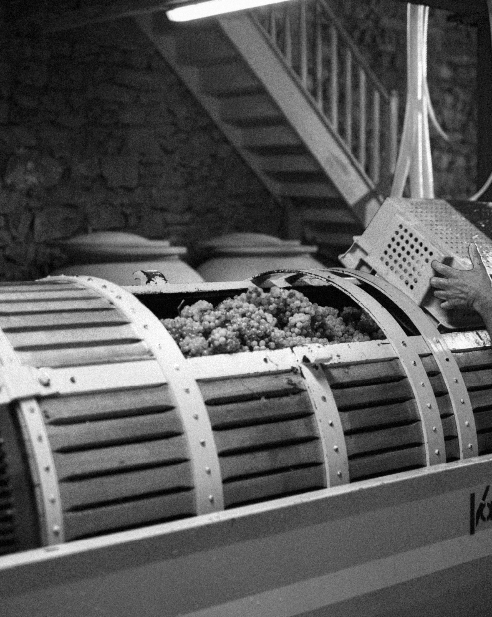 Outils utilisées pour la vinification au domaine Gauthier Gazaniol.