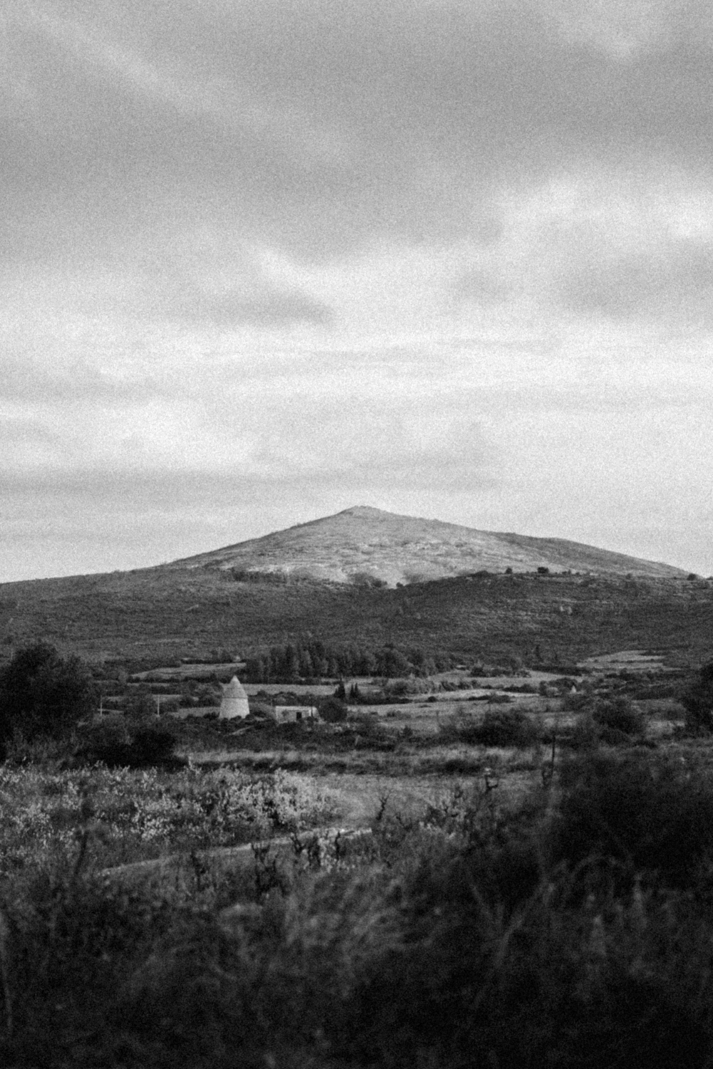 Sols de schistes et de calcaires du terroir de Gauthier Gazaniol en Corbières.