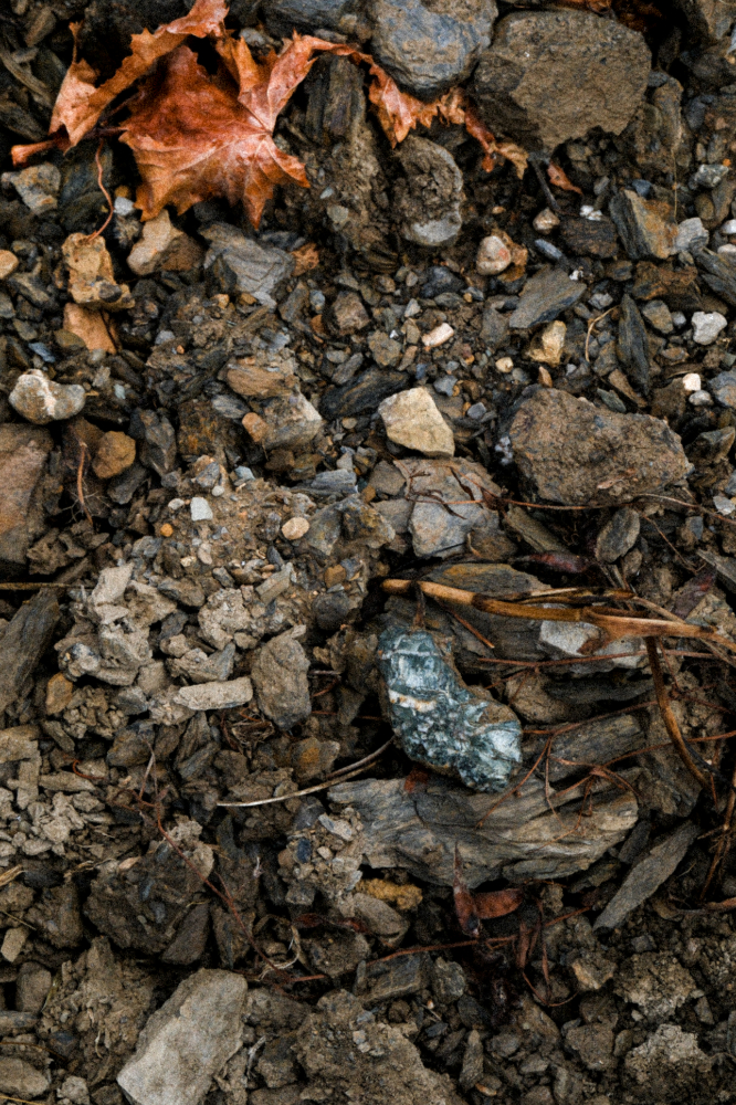 gauthier-gazaniol-terroir-corbieres-sols-schistes-calcaires Sols de schistes et de calcaires du domaine Gauthier Gazaniol en Corbières.