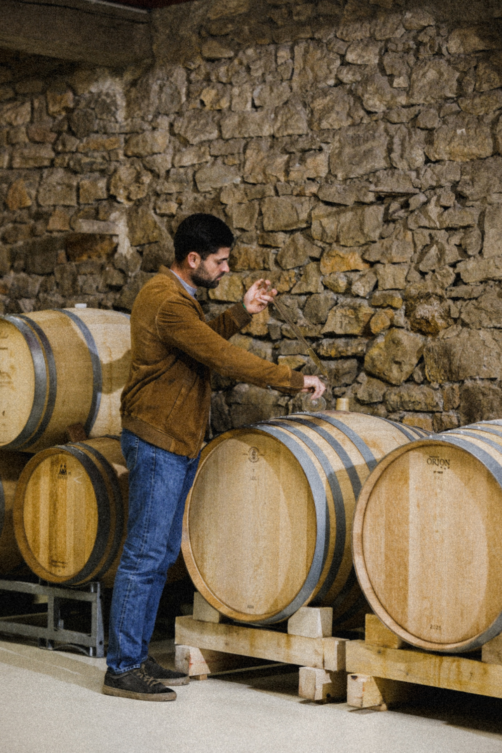 gauthier-gazaniol-viticulture-gestes-travail-manuel Travail à la cave de Gauthier Gazaniol vigneron en Corbières